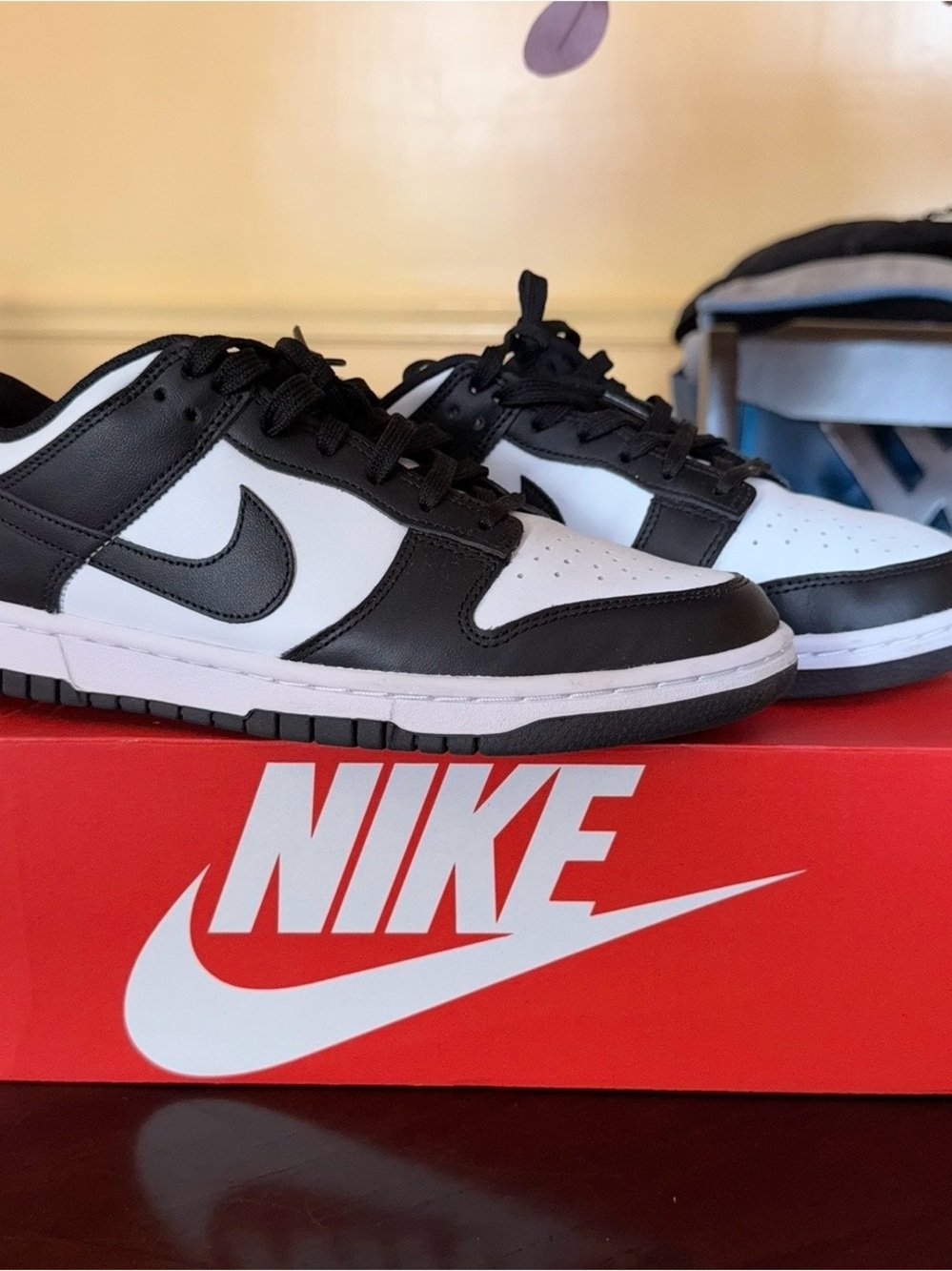 Nike Women’s Dunks Low Top